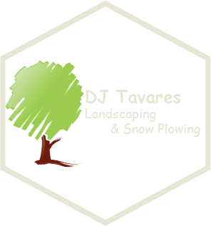 DJ Tavares Landscaping